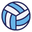 Voleybol